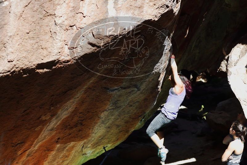 

Filename: SRM_20170317_1056000.jpg
Aperture: f/4.0
Shutter Speed: 1/1600
Body: Canon EOS-1D Mark II
Lens: Canon EF 85mm f/1.2 L II