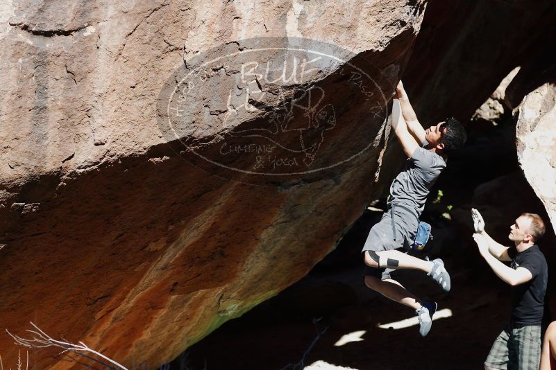 

Filename: SRM_20170317_1102352.jpg
Aperture: f/4.0
Shutter Speed: 1/2500
Body: Canon EOS-1D Mark II
Lens: Canon EF 85mm f/1.2 L II