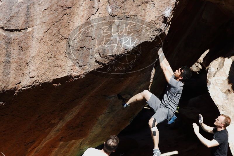 

Filename: SRM_20170317_1102480.jpg
Aperture: f/4.0
Shutter Speed: 1/3200
Body: Canon EOS-1D Mark II
Lens: Canon EF 85mm f/1.2 L II