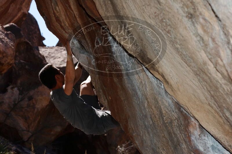 

Filename: SRM_20170317_1135000.jpg
Aperture: f/8.0
Shutter Speed: 1/250
Body: Canon EOS-1D Mark II
Lens: Canon EF 85mm f/1.2 L II