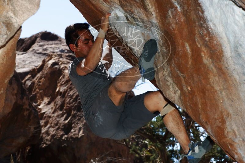 

Filename: SRM_20170317_1153310.jpg
Aperture: f/8.0
Shutter Speed: 1/160
Body: Canon EOS-1D Mark II
Lens: Canon EF 85mm f/1.2 L II