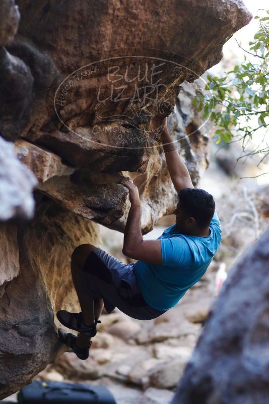 

Filename: SRM_20170317_1259260.jpg
Aperture: f/2.0
Shutter Speed: 1/500
Body: Canon EOS-1D Mark II
Lens: Canon EF 85mm f/1.2 L II