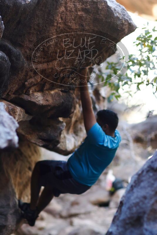 

Filename: SRM_20170317_1259275.jpg
Aperture: f/2.0
Shutter Speed: 1/800
Body: Canon EOS-1D Mark II
Lens: Canon EF 85mm f/1.2 L II