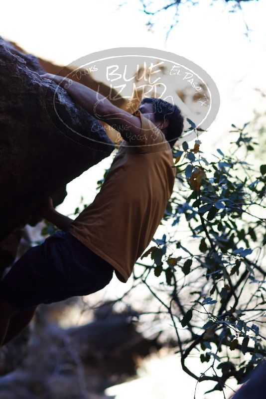 

Filename: SRM_20170317_1300360.jpg
Aperture: f/2.0
Shutter Speed: 1/8000
Body: Canon EOS-1D Mark II
Lens: Canon EF 85mm f/1.2 L II