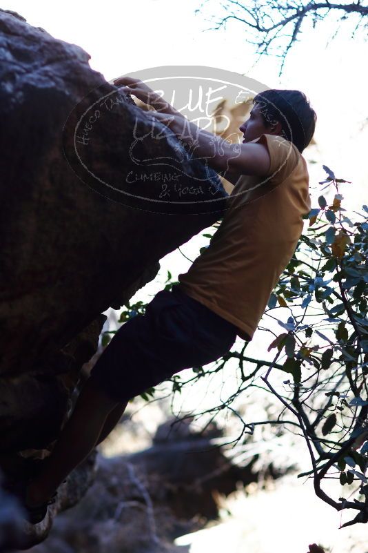 

Filename: SRM_20170317_1300380.jpg
Aperture: f/2.0
Shutter Speed: 1/6400
Body: Canon EOS-1D Mark II
Lens: Canon EF 85mm f/1.2 L II