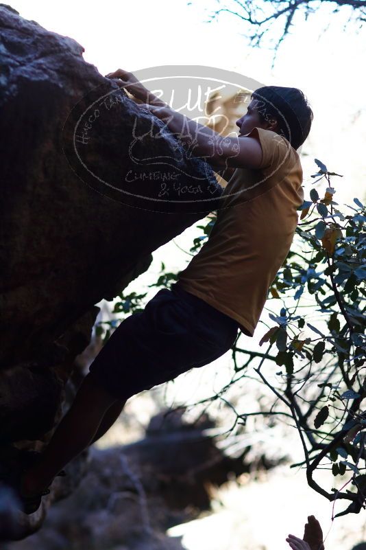 

Filename: SRM_20170317_1300381.jpg
Aperture: f/2.0
Shutter Speed: 1/6400
Body: Canon EOS-1D Mark II
Lens: Canon EF 85mm f/1.2 L II