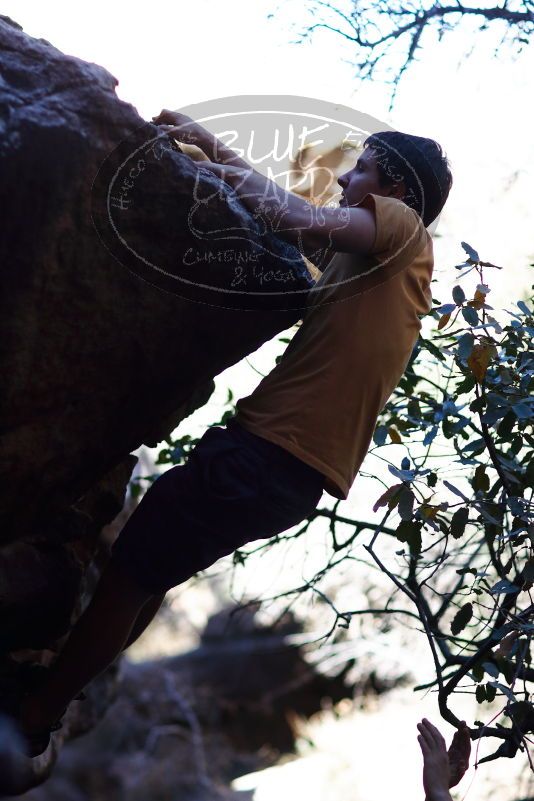 

Filename: SRM_20170317_1300382.jpg
Aperture: f/2.0
Shutter Speed: 1/6400
Body: Canon EOS-1D Mark II
Lens: Canon EF 85mm f/1.2 L II