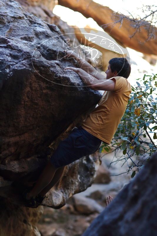 

Filename: SRM_20170317_1300510.jpg
Aperture: f/2.0
Shutter Speed: 1/2000
Body: Canon EOS-1D Mark II
Lens: Canon EF 85mm f/1.2 L II