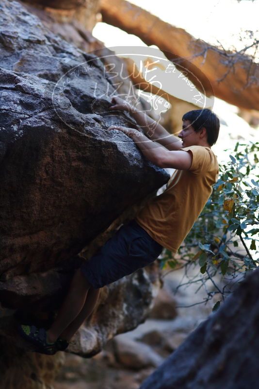 

Filename: SRM_20170317_1300561.jpg
Aperture: f/2.0
Shutter Speed: 1/2500
Body: Canon EOS-1D Mark II
Lens: Canon EF 85mm f/1.2 L II