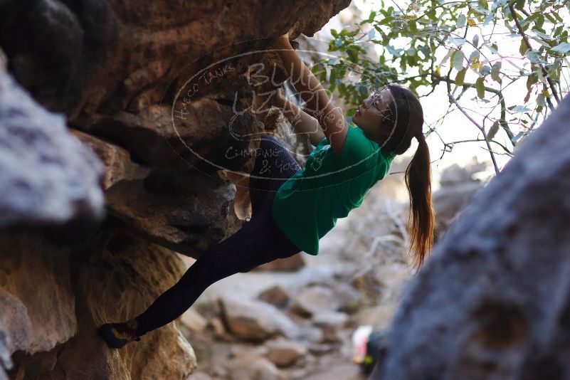 

Filename: SRM_20170317_1302090.jpg
Aperture: f/2.0
Shutter Speed: 1/1000
Body: Canon EOS-1D Mark II
Lens: Canon EF 85mm f/1.2 L II