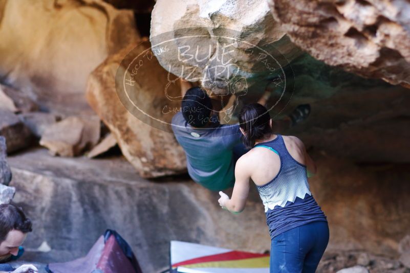 

Filename: SRM_20170317_1307030.jpg
Aperture: f/2.0
Shutter Speed: 1/250
Body: Canon EOS-1D Mark II
Lens: Canon EF 85mm f/1.2 L II