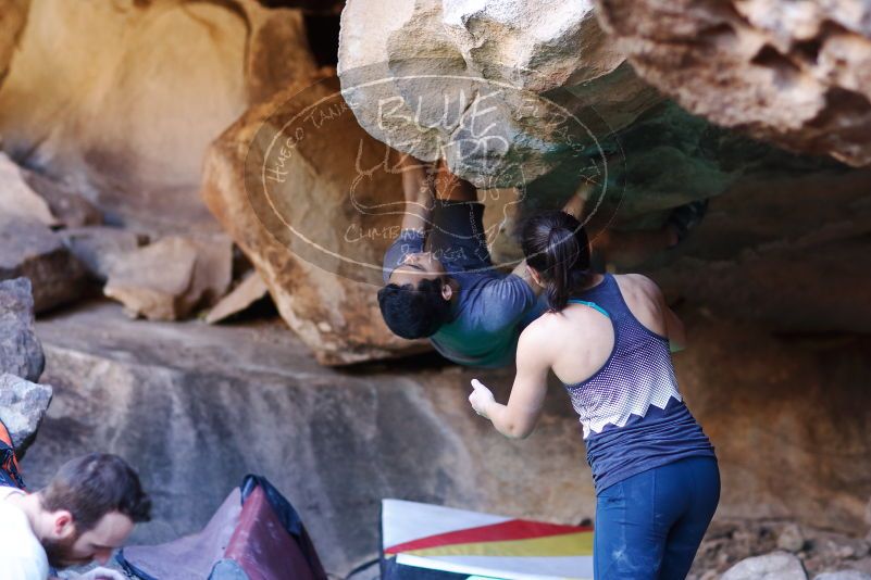 

Filename: SRM_20170317_1307040.jpg
Aperture: f/2.0
Shutter Speed: 1/250
Body: Canon EOS-1D Mark II
Lens: Canon EF 85mm f/1.2 L II