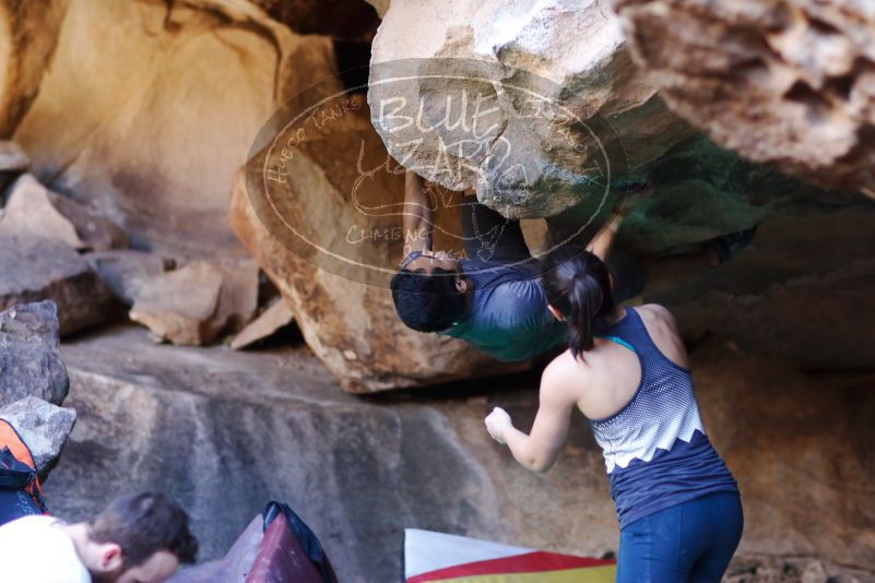 

Filename: SRM_20170317_1307050.jpg
Aperture: f/2.0
Shutter Speed: 1/250
Body: Canon EOS-1D Mark II
Lens: Canon EF 85mm f/1.2 L II