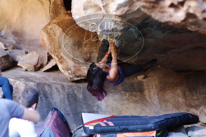 

Filename: SRM_20170317_1307520.jpg
Aperture: f/2.0
Shutter Speed: 1/200
Body: Canon EOS-1D Mark II
Lens: Canon EF 85mm f/1.2 L II