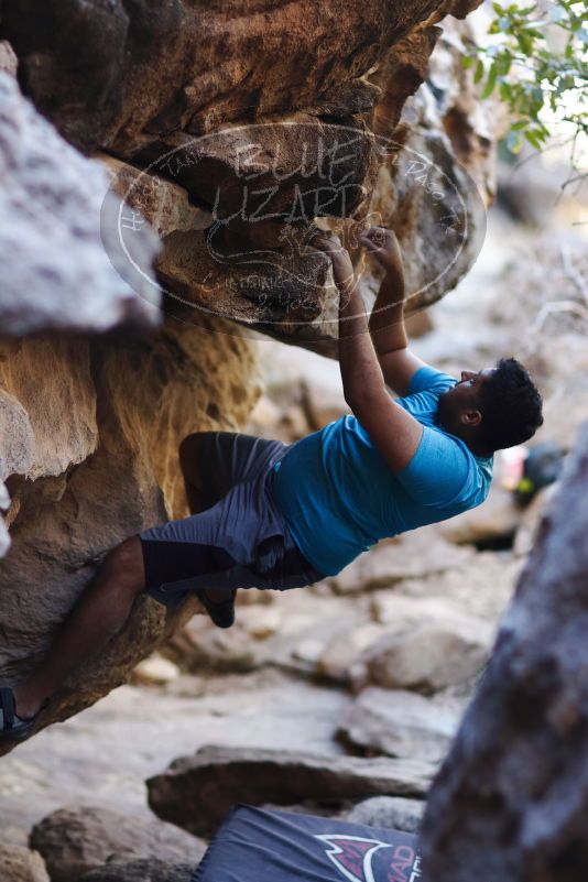 

Filename: SRM_20170317_1308170.jpg
Aperture: f/2.0
Shutter Speed: 1/500
Body: Canon EOS-1D Mark II
Lens: Canon EF 85mm f/1.2 L II