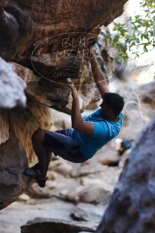 

Filename: SRM_20170317_1308175.jpg
Aperture: f/2.0
Shutter Speed: 1/640
Body: Canon EOS-1D Mark II
Lens: Canon EF 85mm f/1.2 L II