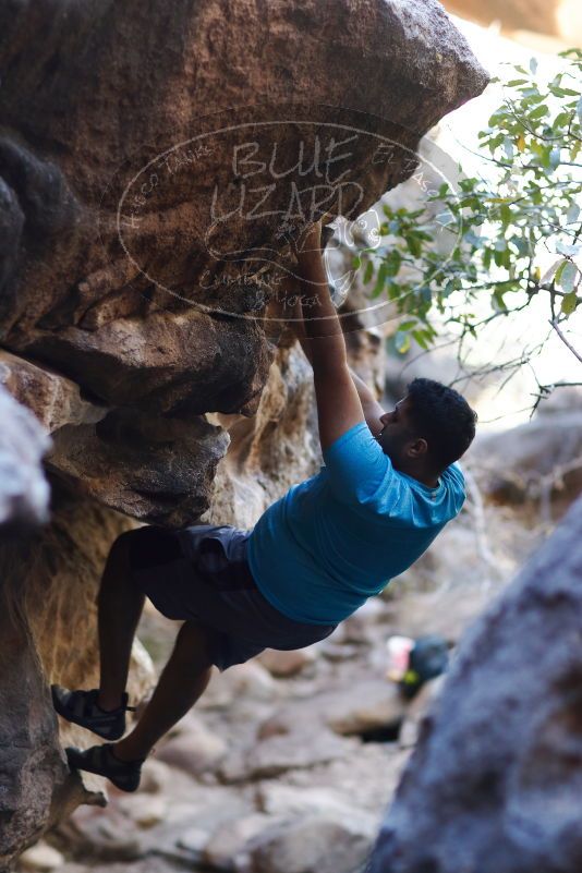 

Filename: SRM_20170317_1308193.jpg
Aperture: f/2.0
Shutter Speed: 1/640
Body: Canon EOS-1D Mark II
Lens: Canon EF 85mm f/1.2 L II