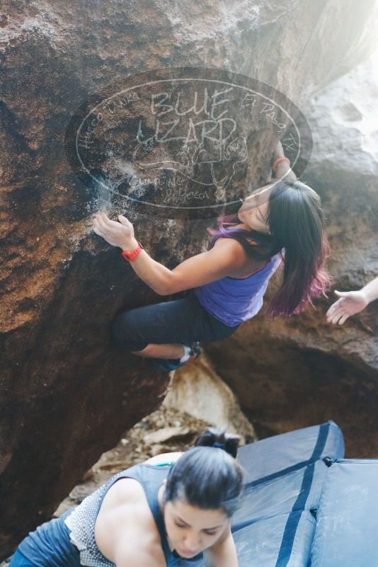 

Filename: SRM_20170317_1337450.jpg
Aperture: f/2.8
Shutter Speed: 1/200
Body: Canon EOS-1D Mark II
Lens: Canon EF 50mm f/1.8 II