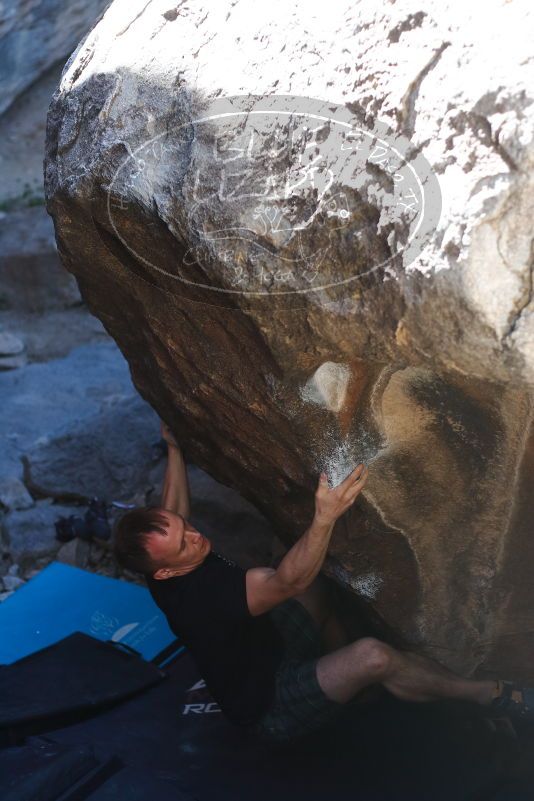 

Filename: SRM_20170317_1348061.jpg
Aperture: f/2.8
Shutter Speed: 1/640
Body: Canon EOS-1D Mark II
Lens: Canon EF 50mm f/1.8 II