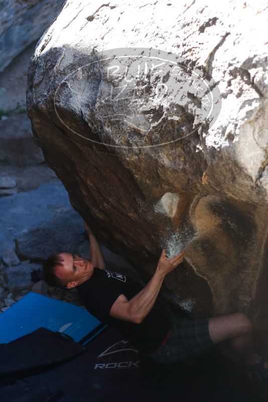 

Filename: SRM_20170317_1348090.jpg
Aperture: f/2.8
Shutter Speed: 1/800
Body: Canon EOS-1D Mark II
Lens: Canon EF 50mm f/1.8 II