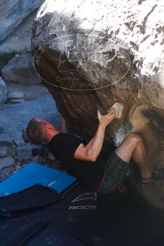 

Filename: SRM_20170317_1348200.jpg
Aperture: f/2.8
Shutter Speed: 1/640
Body: Canon EOS-1D Mark II
Lens: Canon EF 50mm f/1.8 II