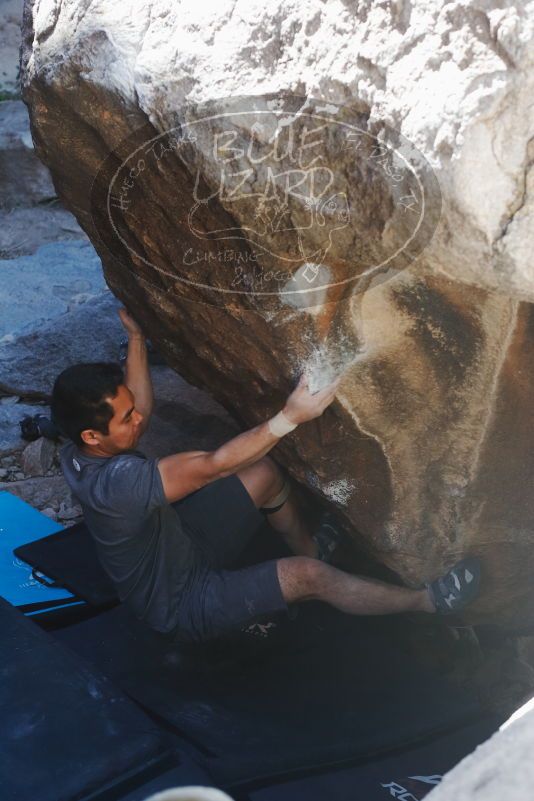 

Filename: SRM_20170317_1350360.jpg
Aperture: f/4.0
Shutter Speed: 1/320
Body: Canon EOS-1D Mark II
Lens: Canon EF 50mm f/1.8 II