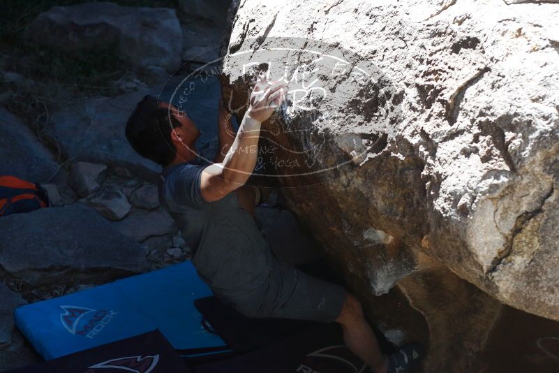 

Filename: SRM_20170317_1354050.jpg
Aperture: f/4.0
Shutter Speed: 1/800
Body: Canon EOS-1D Mark II
Lens: Canon EF 50mm f/1.8 II