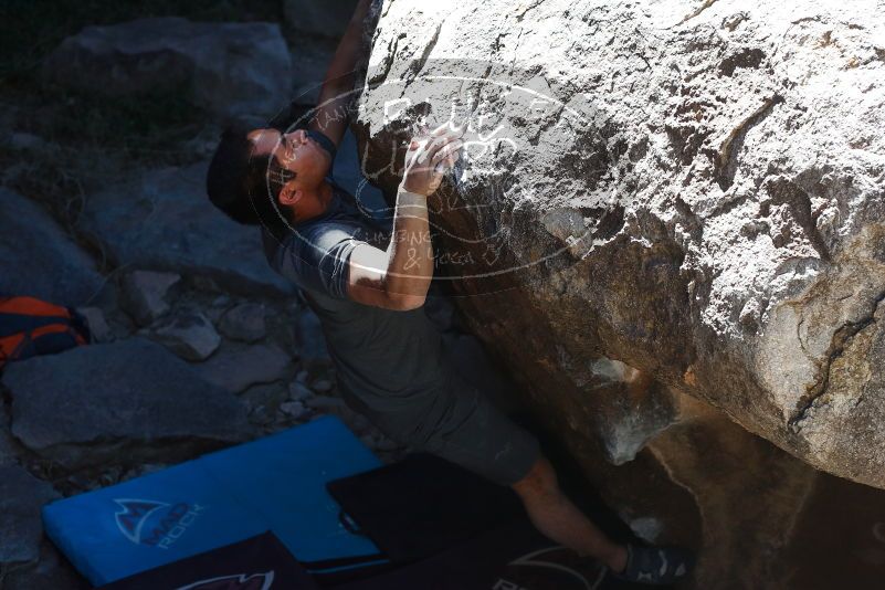 

Filename: SRM_20170317_1354071.jpg
Aperture: f/4.0
Shutter Speed: 1/800
Body: Canon EOS-1D Mark II
Lens: Canon EF 50mm f/1.8 II