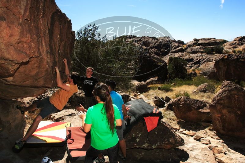 

Filename: SRM_20170317_1522370.jpg
Aperture: f/9.0
Shutter Speed: 1/250
Body: Canon EOS-1D Mark II
Lens: Canon EF 16-35mm f/2.8 L