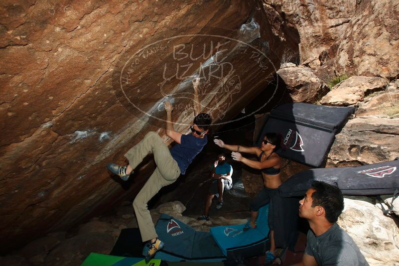 

Filename: SRM_20170317_1608260.jpg
Aperture: f/8.0
Shutter Speed: 1/250
Body: Canon EOS-1D Mark II
Lens: Canon EF 16-35mm f/2.8 L