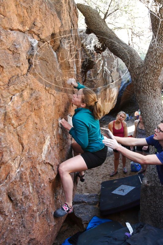 

Filename: SRM_20170325_0954530.jpg
Aperture: f/3.5
Shutter Speed: 1/160
Body: Canon EOS-1D Mark II
Lens: Canon EF 16-35mm f/2.8 L