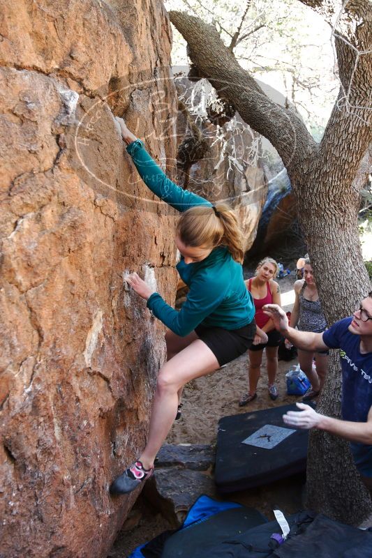 

Filename: SRM_20170325_0954541.jpg
Aperture: f/3.5
Shutter Speed: 1/160
Body: Canon EOS-1D Mark II
Lens: Canon EF 16-35mm f/2.8 L