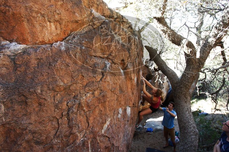 

Filename: SRM_20170325_0956390.jpg
Aperture: f/4.0
Shutter Speed: 1/200
Body: Canon EOS-1D Mark II
Lens: Canon EF 16-35mm f/2.8 L
