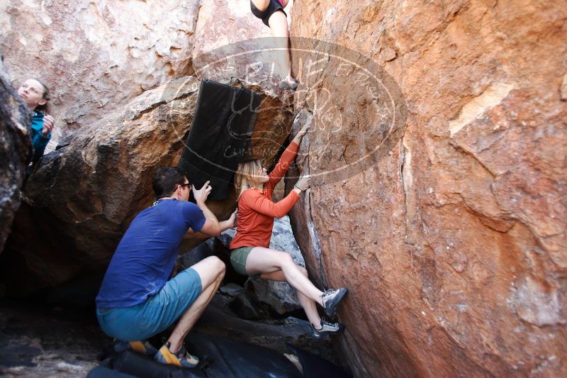 

Filename: SRM_20170325_0959541.jpg
Aperture: f/2.8
Shutter Speed: 1/250
Body: Canon EOS-1D Mark II
Lens: Canon EF 16-35mm f/2.8 L