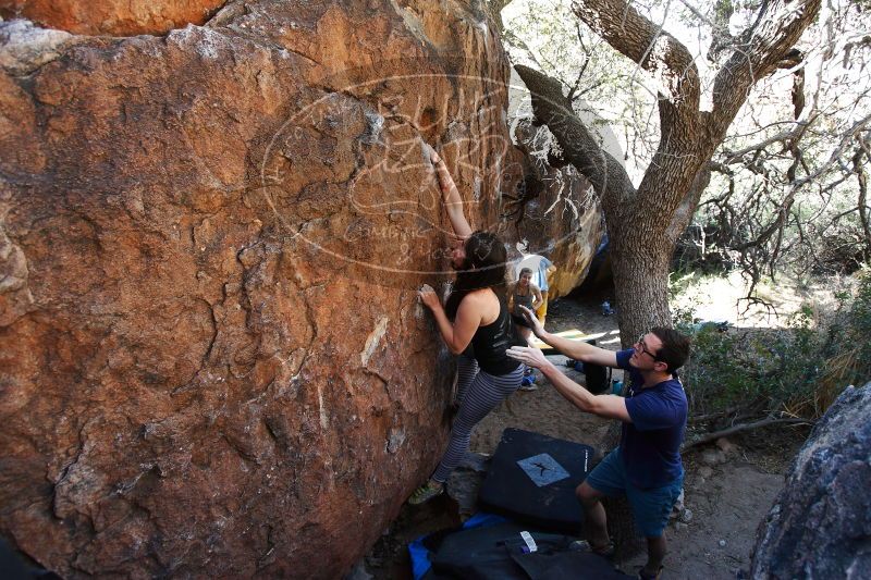 

Filename: SRM_20170325_1004290.jpg
Aperture: f/4.0
Shutter Speed: 1/250
Body: Canon EOS-1D Mark II
Lens: Canon EF 16-35mm f/2.8 L