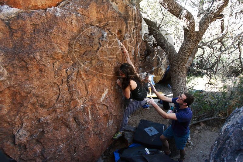 

Filename: SRM_20170325_1004293.jpg
Aperture: f/4.0
Shutter Speed: 1/250
Body: Canon EOS-1D Mark II
Lens: Canon EF 16-35mm f/2.8 L