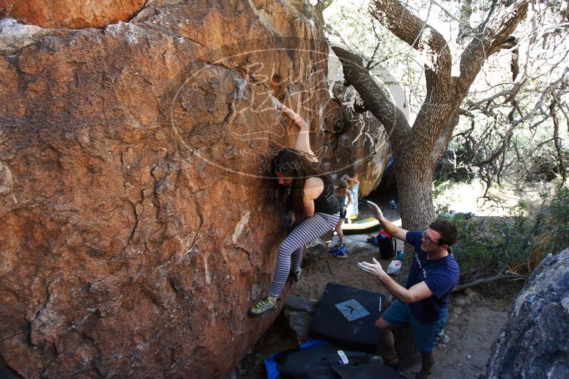 

Filename: SRM_20170325_1004300.jpg
Aperture: f/4.0
Shutter Speed: 1/250
Body: Canon EOS-1D Mark II
Lens: Canon EF 16-35mm f/2.8 L