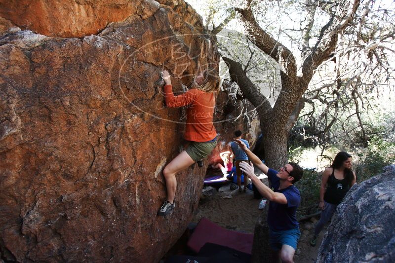 

Filename: SRM_20170325_1007560.jpg
Aperture: f/4.0
Shutter Speed: 1/400
Body: Canon EOS-1D Mark II
Lens: Canon EF 16-35mm f/2.8 L