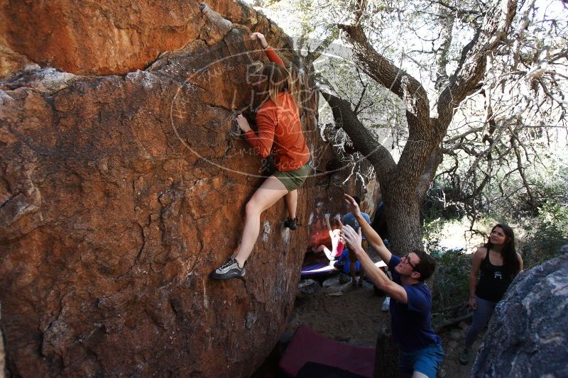 

Filename: SRM_20170325_1007581.jpg
Aperture: f/4.0
Shutter Speed: 1/400
Body: Canon EOS-1D Mark II
Lens: Canon EF 16-35mm f/2.8 L