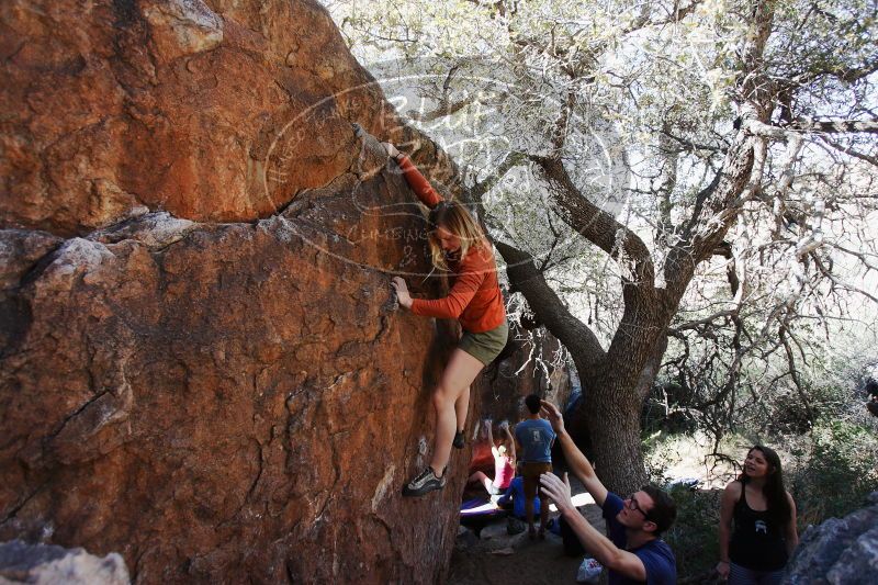 

Filename: SRM_20170325_1008000.jpg
Aperture: f/4.0
Shutter Speed: 1/640
Body: Canon EOS-1D Mark II
Lens: Canon EF 16-35mm f/2.8 L