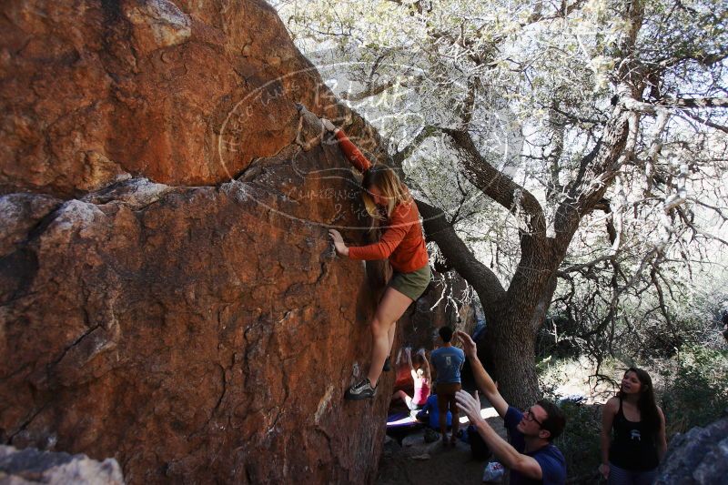 

Filename: SRM_20170325_1008001.jpg
Aperture: f/4.0
Shutter Speed: 1/800
Body: Canon EOS-1D Mark II
Lens: Canon EF 16-35mm f/2.8 L