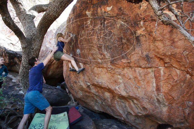 

Filename: SRM_20170325_1013480.jpg
Aperture: f/4.0
Shutter Speed: 1/200
Body: Canon EOS-1D Mark II
Lens: Canon EF 16-35mm f/2.8 L