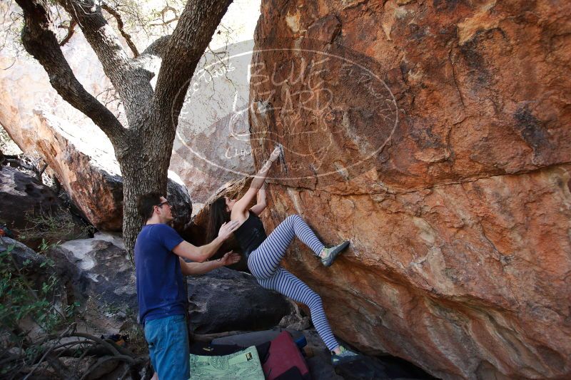 

Filename: SRM_20170325_1020260.jpg
Aperture: f/4.0
Shutter Speed: 1/250
Body: Canon EOS-1D Mark II
Lens: Canon EF 16-35mm f/2.8 L