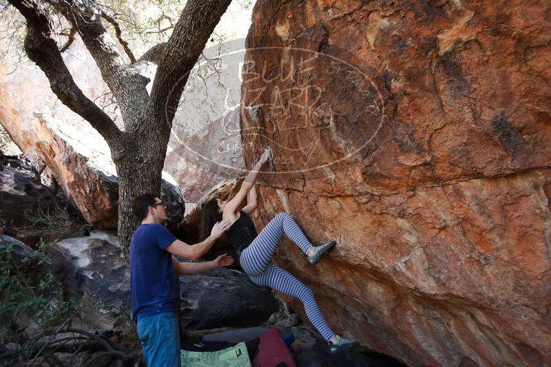 

Filename: SRM_20170325_1020261.jpg
Aperture: f/4.0
Shutter Speed: 1/250
Body: Canon EOS-1D Mark II
Lens: Canon EF 16-35mm f/2.8 L