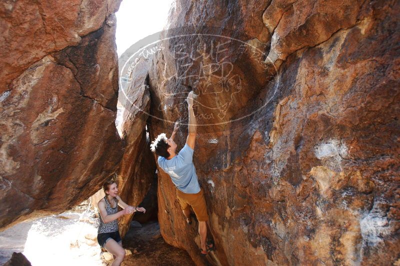 

Filename: SRM_20170325_1021520.jpg
Aperture: f/4.0
Shutter Speed: 1/200
Body: Canon EOS-1D Mark II
Lens: Canon EF 16-35mm f/2.8 L