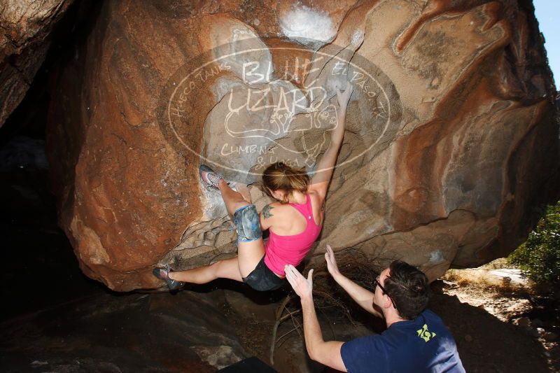 

Filename: SRM_20170325_1048400.jpg
Aperture: f/9.0
Shutter Speed: 1/250
Body: Canon EOS-1D Mark II
Lens: Canon EF 16-35mm f/2.8 L