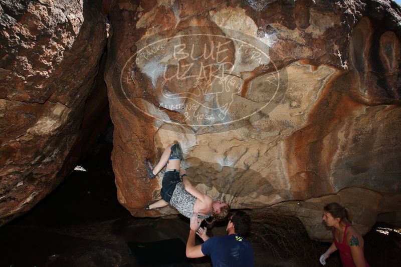 

Filename: SRM_20170325_1057020.jpg
Aperture: f/9.0
Shutter Speed: 1/250
Body: Canon EOS-1D Mark II
Lens: Canon EF 16-35mm f/2.8 L