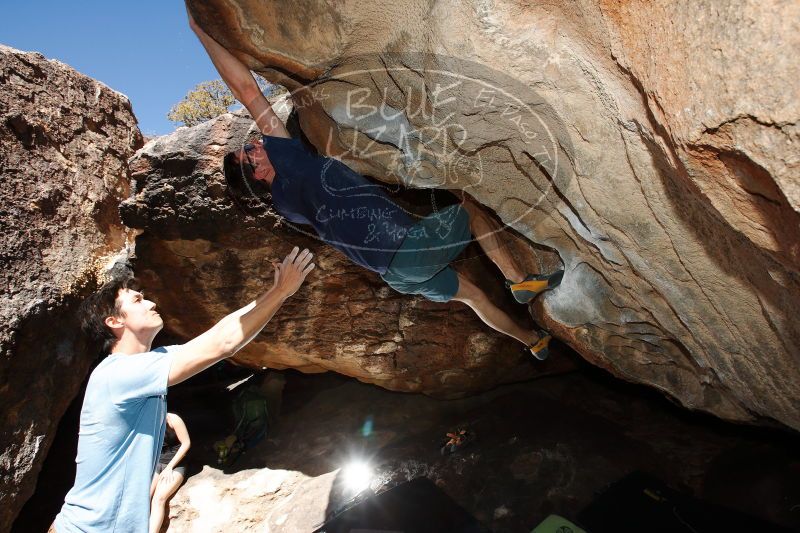 

Filename: SRM_20170325_1114470.jpg
Aperture: f/9.0
Shutter Speed: 1/250
Body: Canon EOS-1D Mark II
Lens: Canon EF 16-35mm f/2.8 L