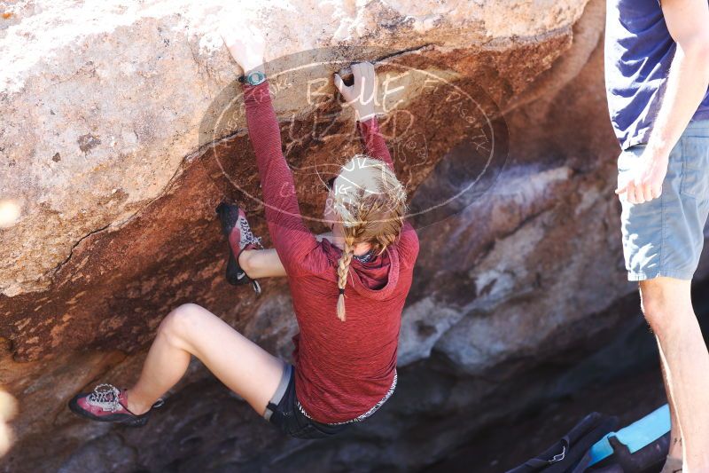 

Filename: SRM_20170325_1251440.jpg
Aperture: f/2.8
Shutter Speed: 1/800
Body: Canon EOS-1D Mark II
Lens: Canon EF 85mm f/1.2 L II