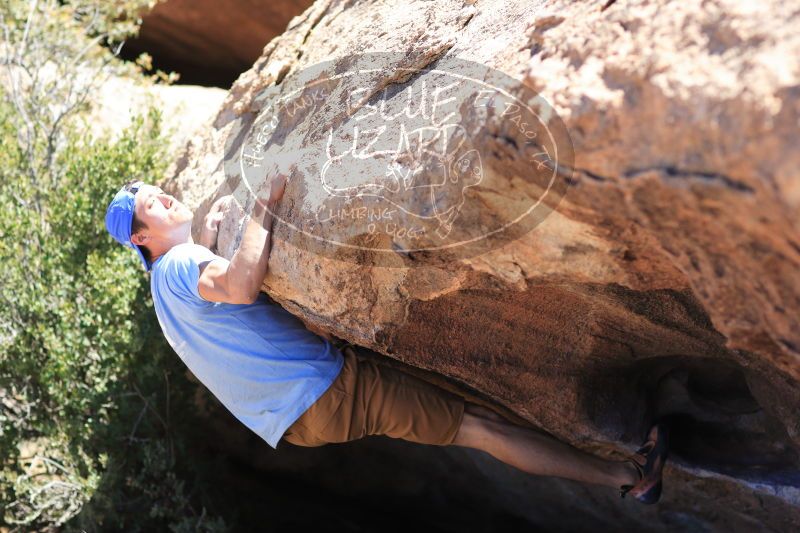 

Filename: SRM_20170325_1303130.jpg
Aperture: f/2.8
Shutter Speed: 1/2000
Body: Canon EOS-1D Mark II
Lens: Canon EF 85mm f/1.2 L II